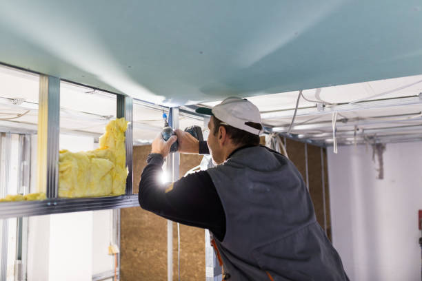 Best Commercial Insulation in Holt, MI