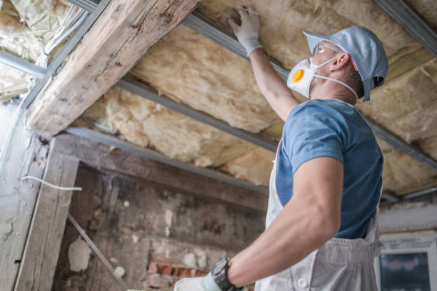 Best Types of Insulation in Holt, MI
